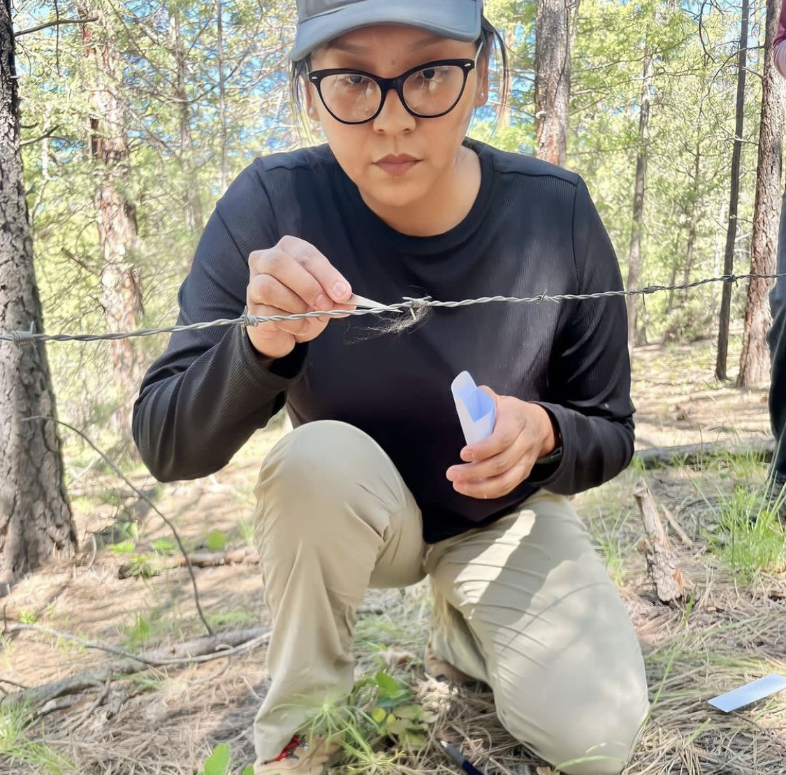 Black Mammalogists Week tweet media