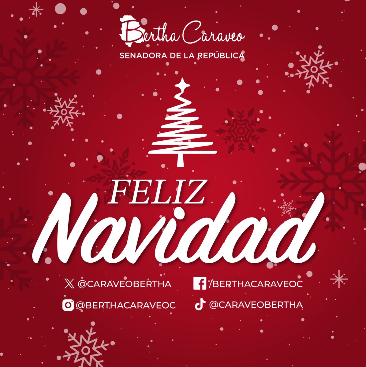 🎄✨ En estas fiestas decembrinas, donde la esperanza se renueva, deseo a todo el Pueblo de #Chihuahua una Feliz Navidad llena de amor, paz y armonía. Que estos momentos especiales se compartan en compañía de familiares y seres queridos. ¡Enhorabuena!