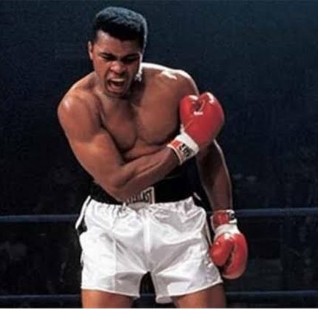 Dünyayı 20'sinde de 50'sinde de aynı gören adam, 30 yılını boşa harcamış demektir!

#MuhammedAli