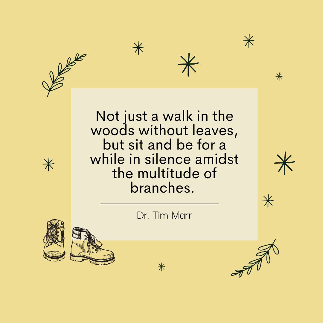 12 Days of AMST/FOLK Cheer, Day  7: We're continuing to share recommendations from our faculty members  about how to get the most out of winter break! Today, Director of  Undergraduate Studies Dr. Tim Marr urges us to spend some time outdoors.