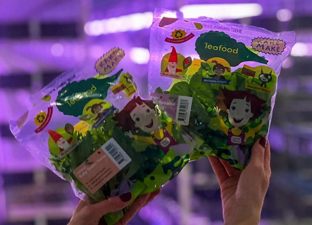 Leafood Lithuania, a leader in vertical farming, has teamed up with the popular brands Kakė Makė and Nelly Jelly, marking a significant step in promoting healthy eating among children.

Read more here -&gt; igrownews.com/leafood-lithua…
