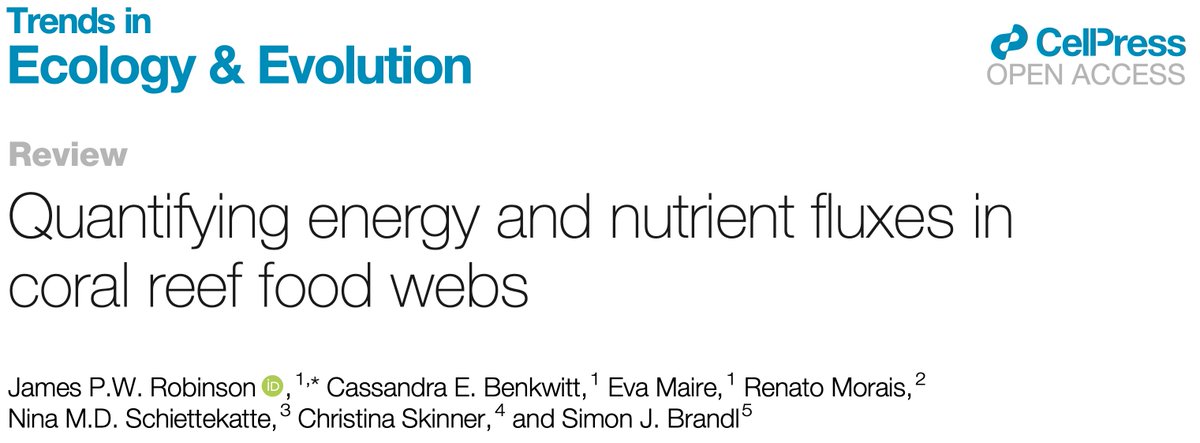 Some big advances in tracing energy + nutrient flux in coral reef fish - and now you can read all about it! Our new paper in @Trends_Ecol_Evo w dream team: @cbenkwitt @Eva__Maire @RenatoAMorais @NinaSchiett @DrManateena & Simon Brandl (gobyone.bsky..) cell.com/trends/ecology…