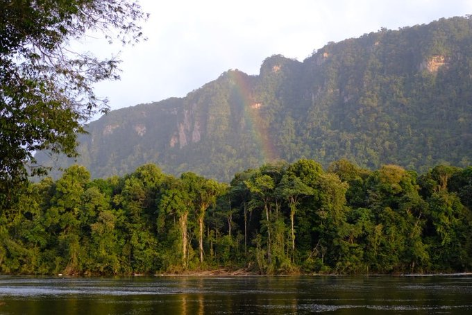 Hay muchas cataratas en el Esequibo de las que sabemos muy poco, la catarata Waratuk es una. Es 1 de las 9 cataratas del río Potaro. La tierra alrededor de las cataratas Waratuk es montañosa, está casi cubierta por un bosque inexplorado. #MiMapa #18Dic