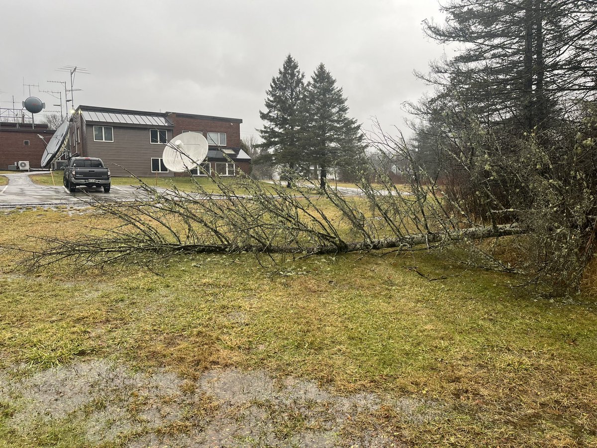 Sean Stackhouse (@stackhousencme) on Twitter photo This storm ain’t messing around. We’ve lost a tree near our <a href="/newscentermaine/">NEWS CENTER Maine</a> parking lot in Bangor This storm ain’t messing around. We’ve lost a tree near our <a href="/newscentermaine/">NEWS CENTER Maine</a> parking lot in Bangor