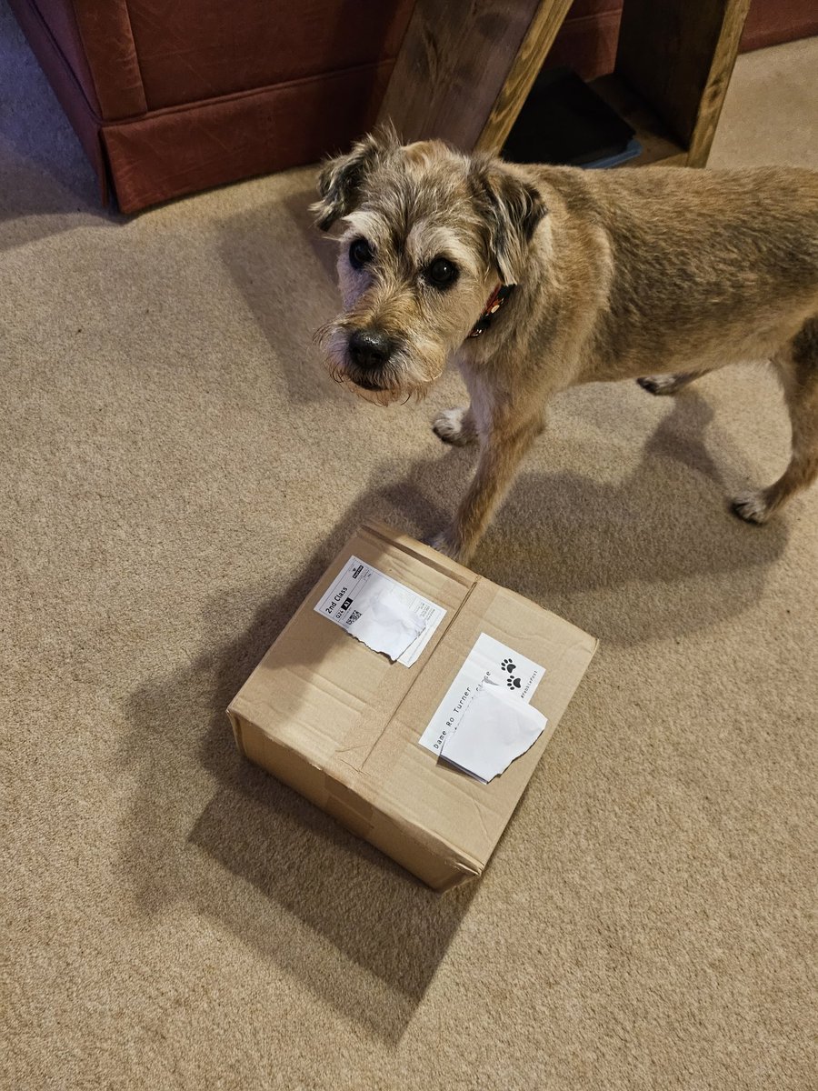 BorderRo's tweet photo. Look pals! I've got some #pebblepost. Only a week to go until I can open it! Thanks special Dame Pal @PebbleBT 😘 https://t.co/zJrSqbdzUH