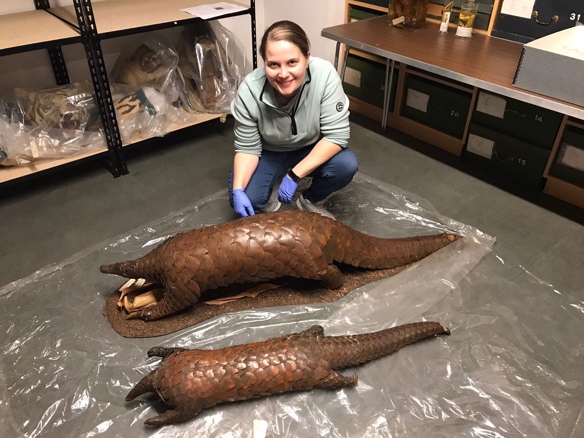 Dan Challender tweet media