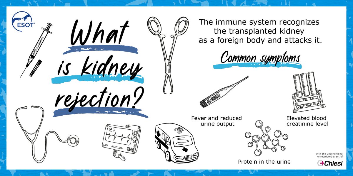 When receiving a new kidney, one concern is that the organ could be rejected by the body. Ensuring that there is great compatibility between the organ and the patient before the procedure is fundamental to lower the possibility of encountering rejection #take2 #PoweredByESOT