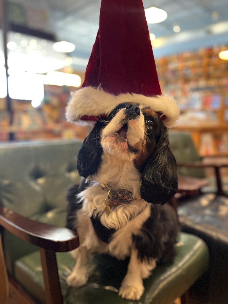 EXTENDED HOURS START TODAY! Dec. 18 - Dec. 23 we’ll be open 10am-8pm, and Christmas Eve hours are 9:30am-3pm. Barnabas and his magical levitating Santa hat can’t wait to see you!