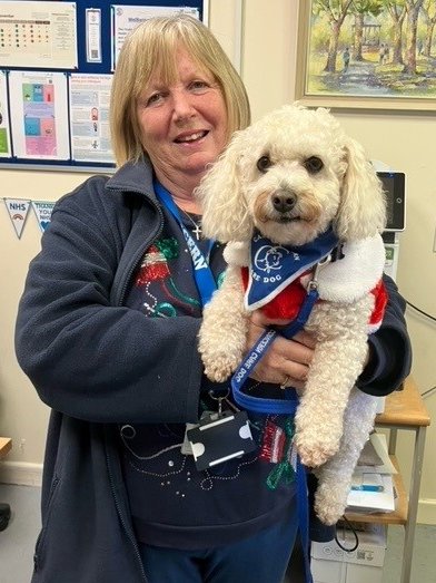 Some great festive jumpers on display from the PALS, Switch, and Volunteer teams including our furry friend Willow the therapy dog!🎄🎄☃️☃️ @GEHNHSnews #loveourvolunteers #volunteer #volunteering #therapydog #wellbeing #christmasjumperday #MerryChristmas #FestiveSeason