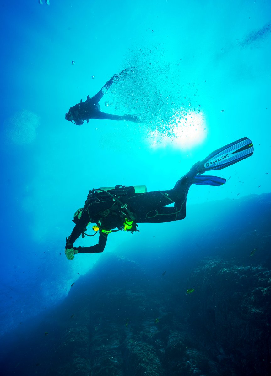 In the embrace of the ocean, where every dive is a journey into the unknown. 📷📷 #DiveIntoTheUnknown #OceanJourney #UnderwaterExploration #TravelAgen #JavaTravelUsa #Travel #Diving 📷📷