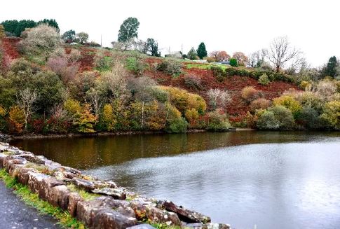 The stunning Welsh beauty spot with woodland walks, watersports, and a cosy café tinyurl.com/52mpekv2