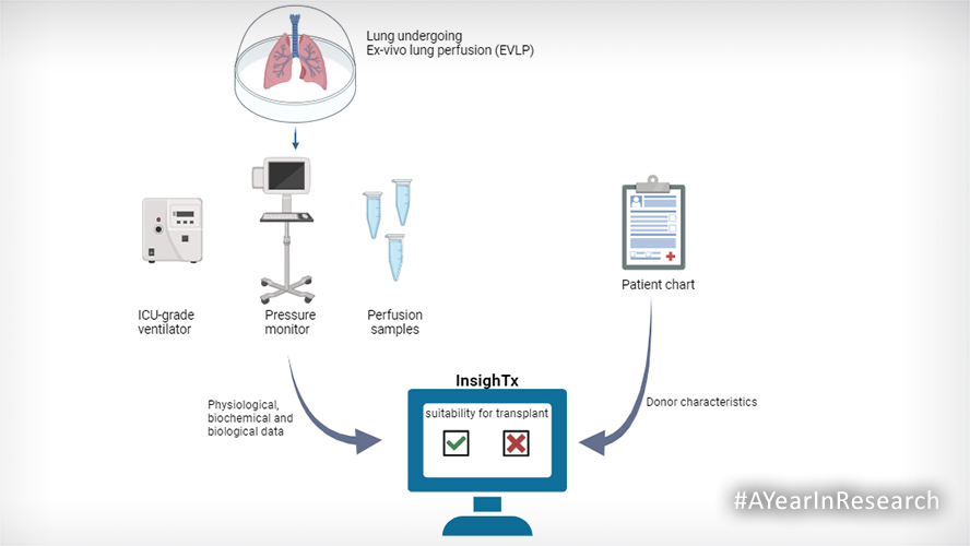 UHN Research tweet media