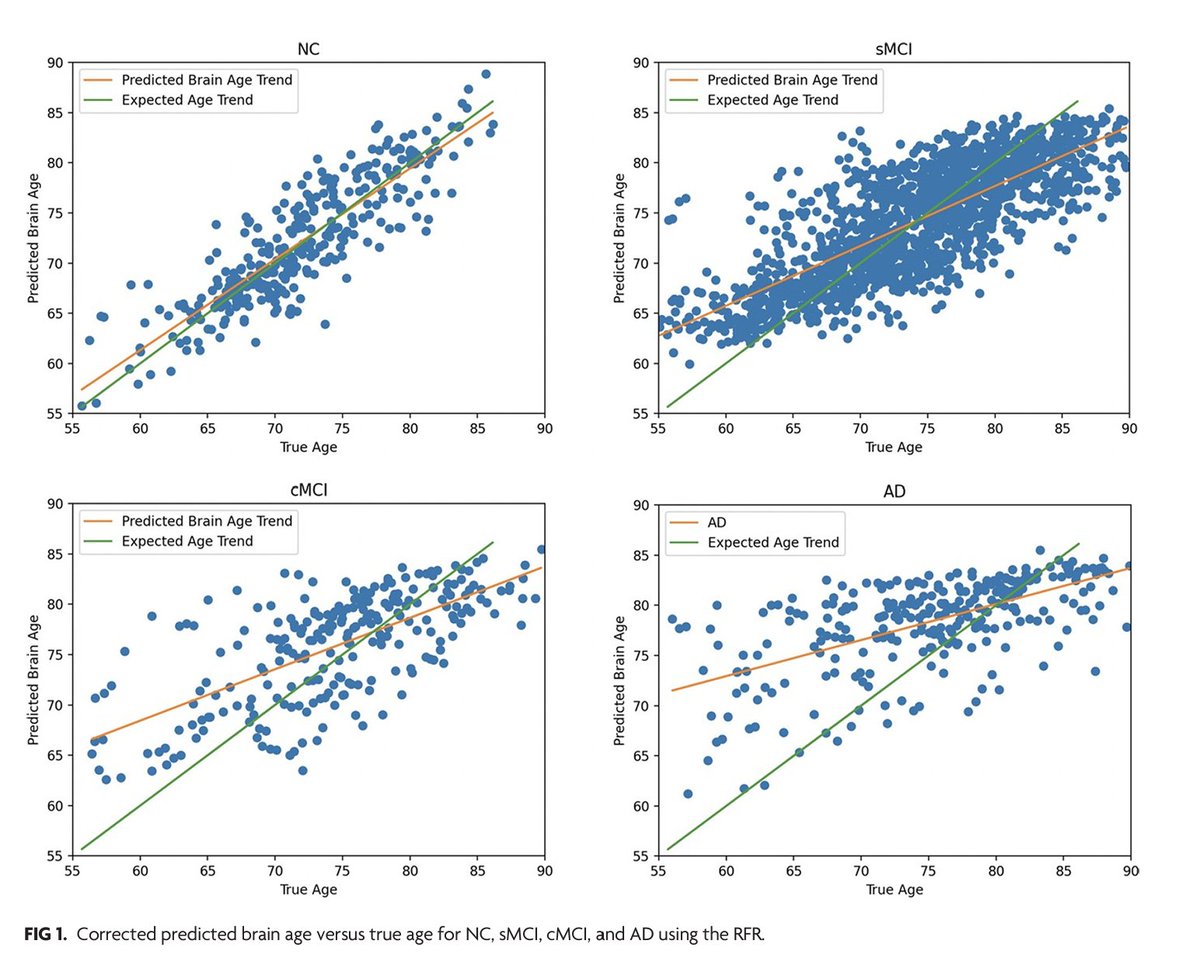 "Brain Age Estimation on a Dementia Cohort Using FLAIR MRI Biomarkers" #Dementia #AI #EditorsChoice | bit.ly/3RqNdXi