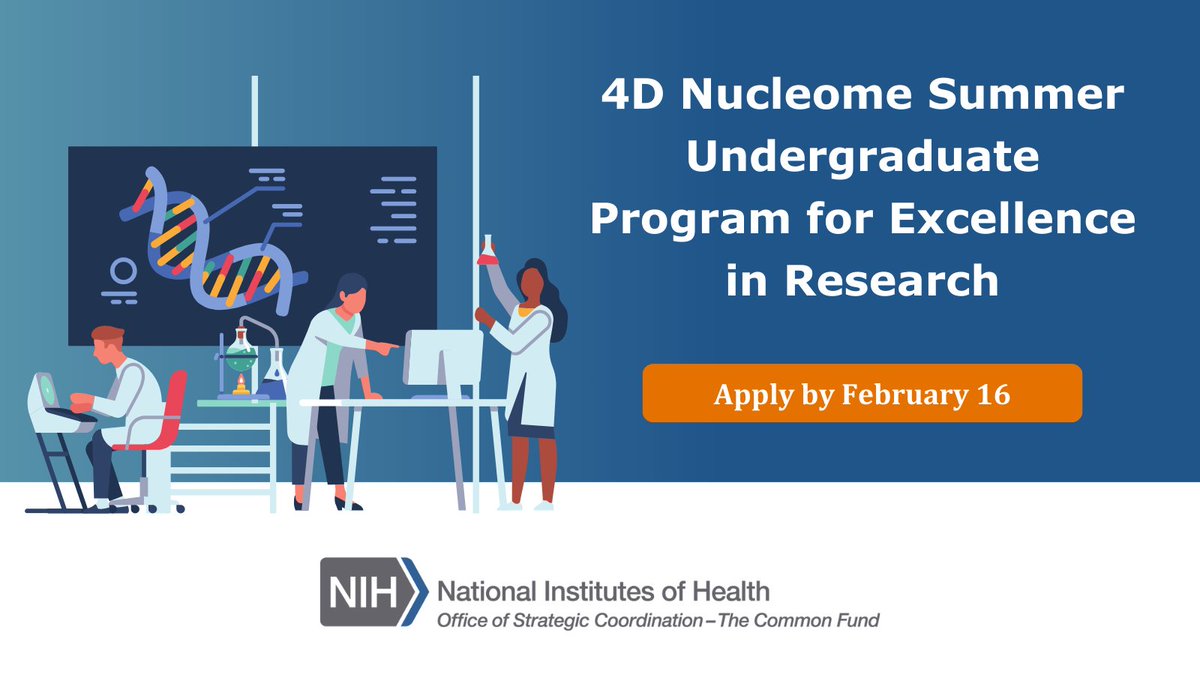 The #4DNucleome program is now accepting applications for summer undergraduate research opportunities. Undergraduates with an interest in #CellBiology, nuclear organization, or #bioinformatics are encouraged to apply: 4dnucleome.org/internship/