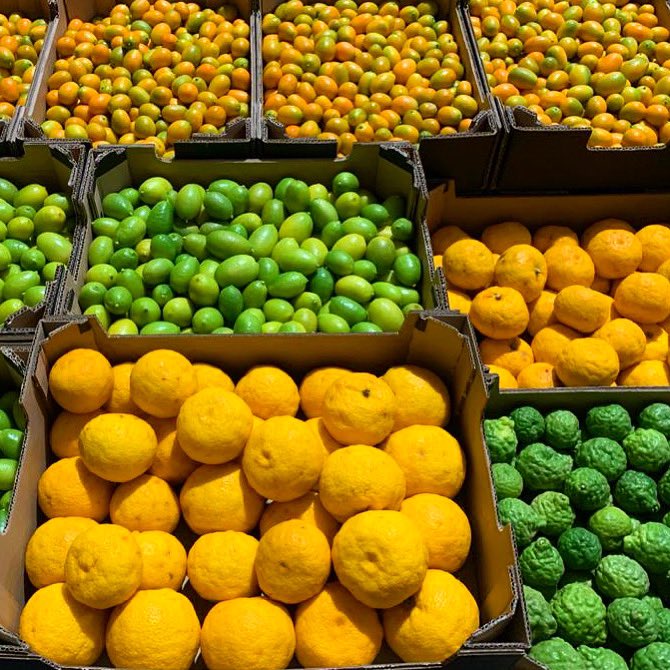 During the cold winter our greatest wish is to send you our Seville sunshine. Here are our rays of light for your home: Makrut lime, Kumquat, Limequat, Yuzu... Enjoy!
♥️INFO👉info@gospacitrus.com
#ChooseGospa
#GospaCitrus #stnicolaoranges #citrusfruits #seville #santaclaus