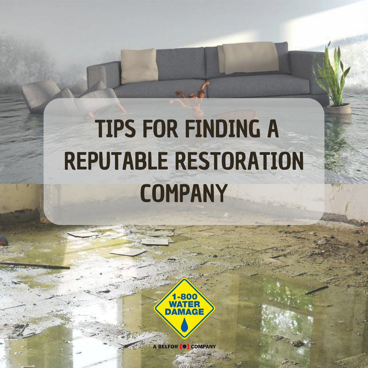 DryingExpert's tweet image. Here are some tips for finding a reputable restoration company: check credentials, ask for references, communicate effectively, and prioritize communication throughout the restoration process.