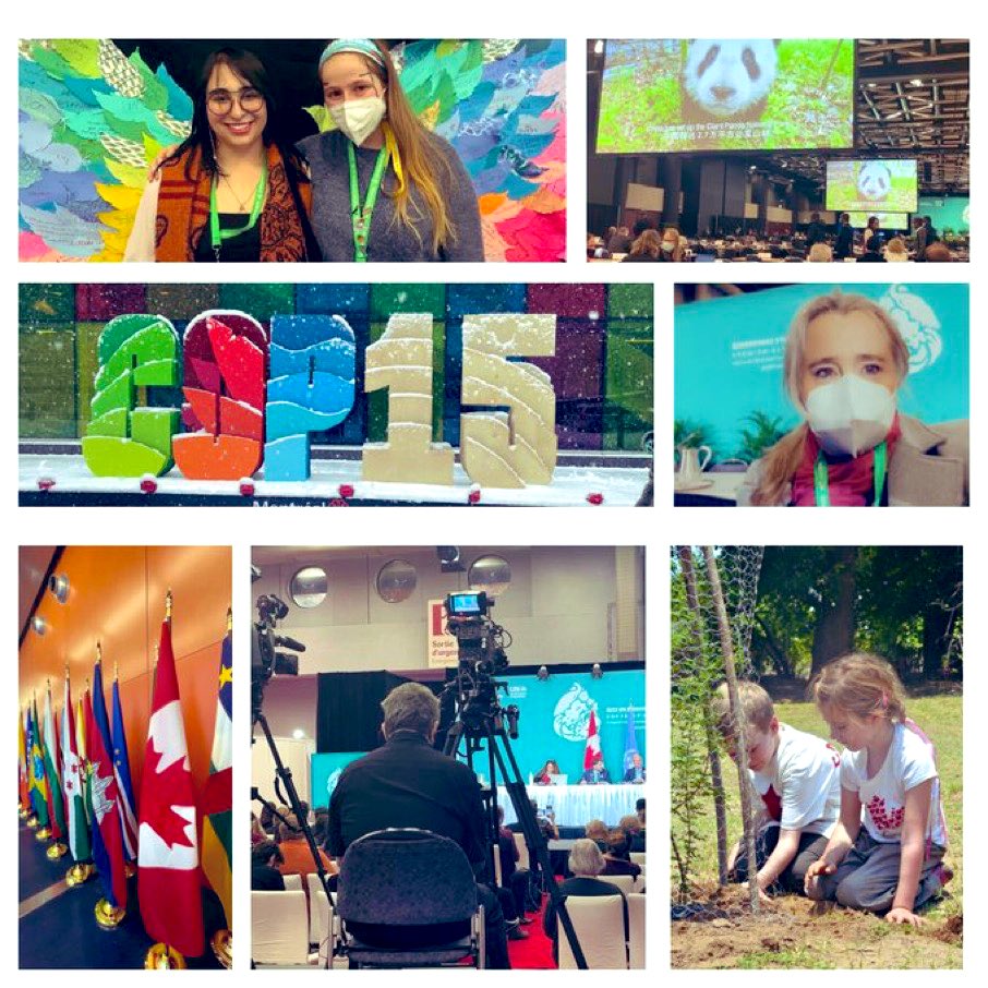 #COP15 One Year Later: Canada’s leaders stepped up when it counted. Together we inspired a historic plan to halt and reverse nature loss. 

We can’t lose momentum now - especially for kids.

charitree-foundation.org/news/cop15-one… 

#NatureCOP #COP28 #MontrealCOP #HaltAndReverse #cdnmedia