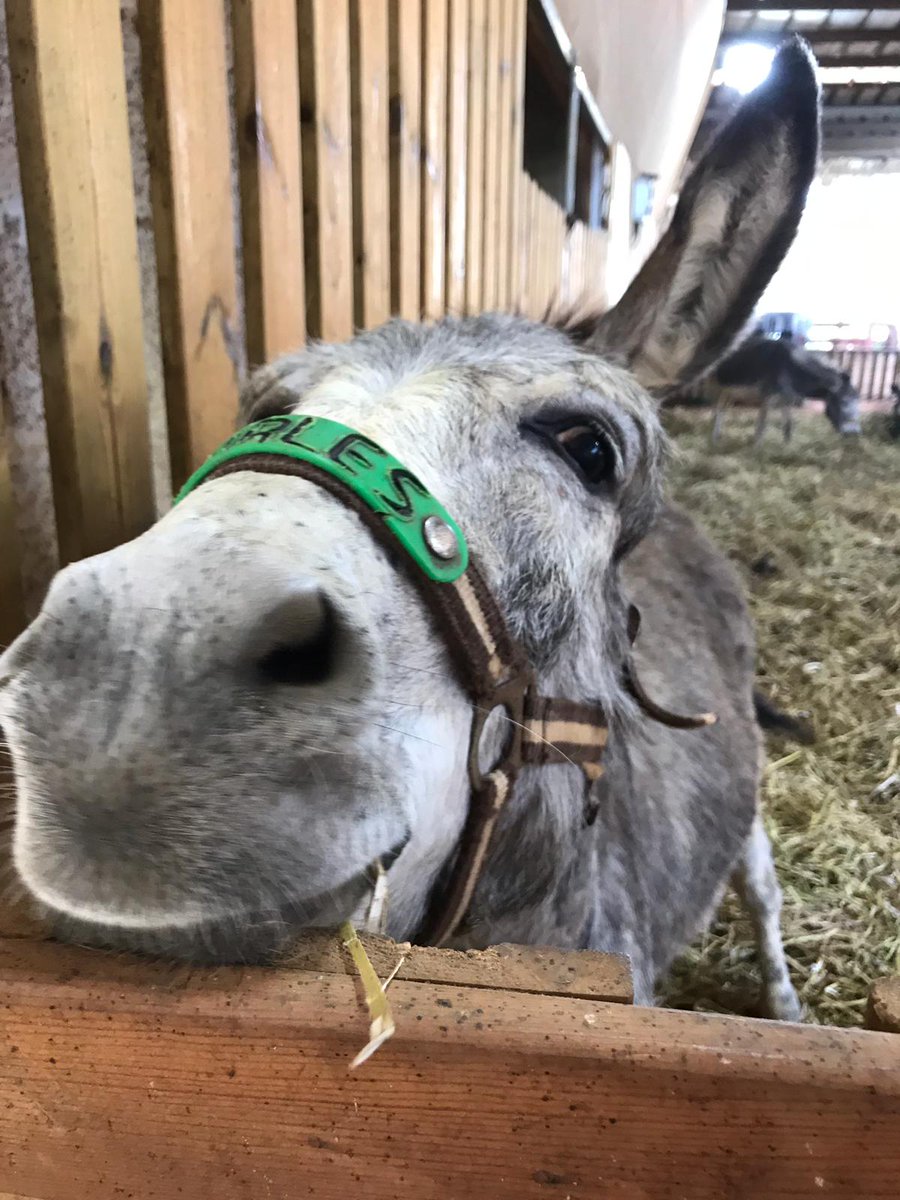 👀🥕 Happy Monday everybody with love from Charles 💚