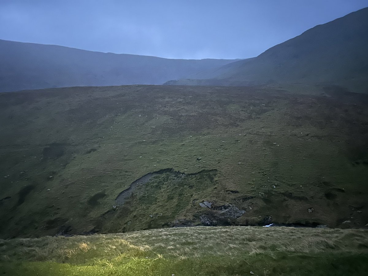 Dave McNamara tweet media