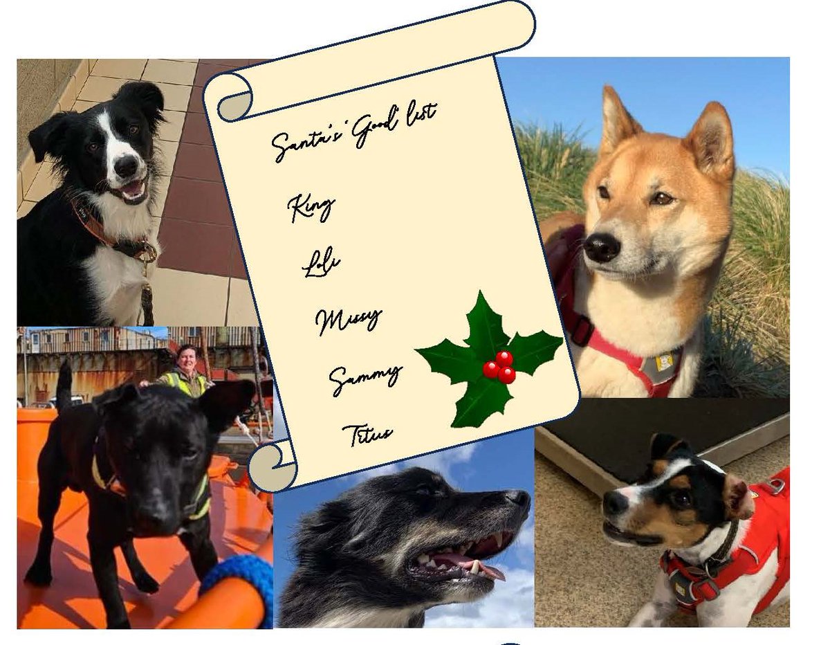 A very joyful Christmas and Happy New Year from South Atlantic Detection Dogs!