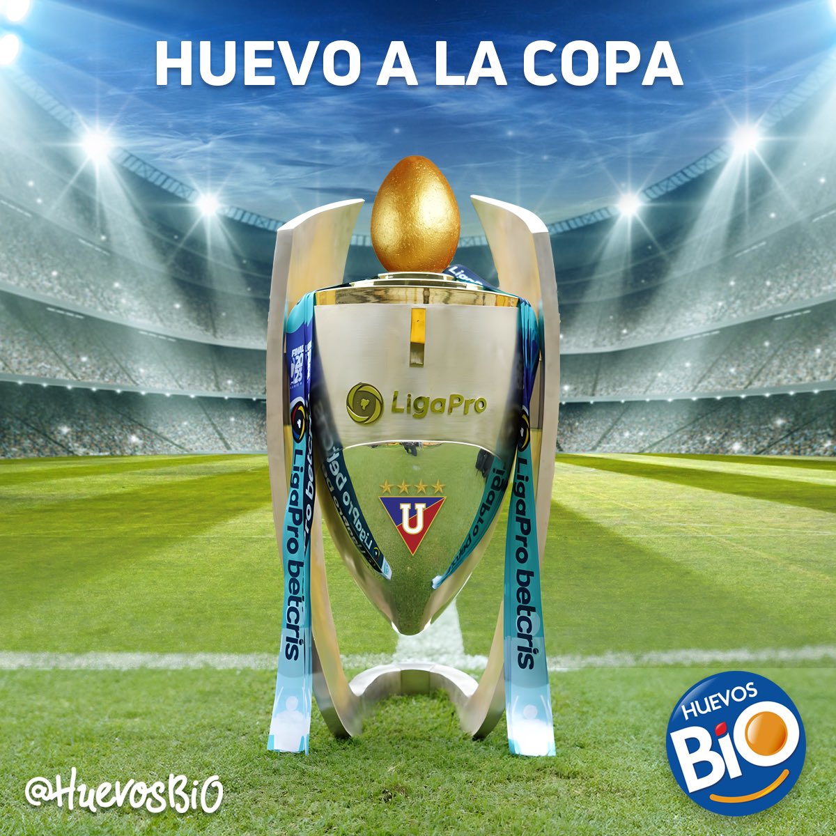 BioHuevos_ec's tweet image. Estamos orgullosos de que @LDU_Oficial haya alcanzado la copa. Que nunca les falten #HuevosBiO para cada cotejo 👏🏻🏆
#LigaPro #LigaCampeon #Huevos