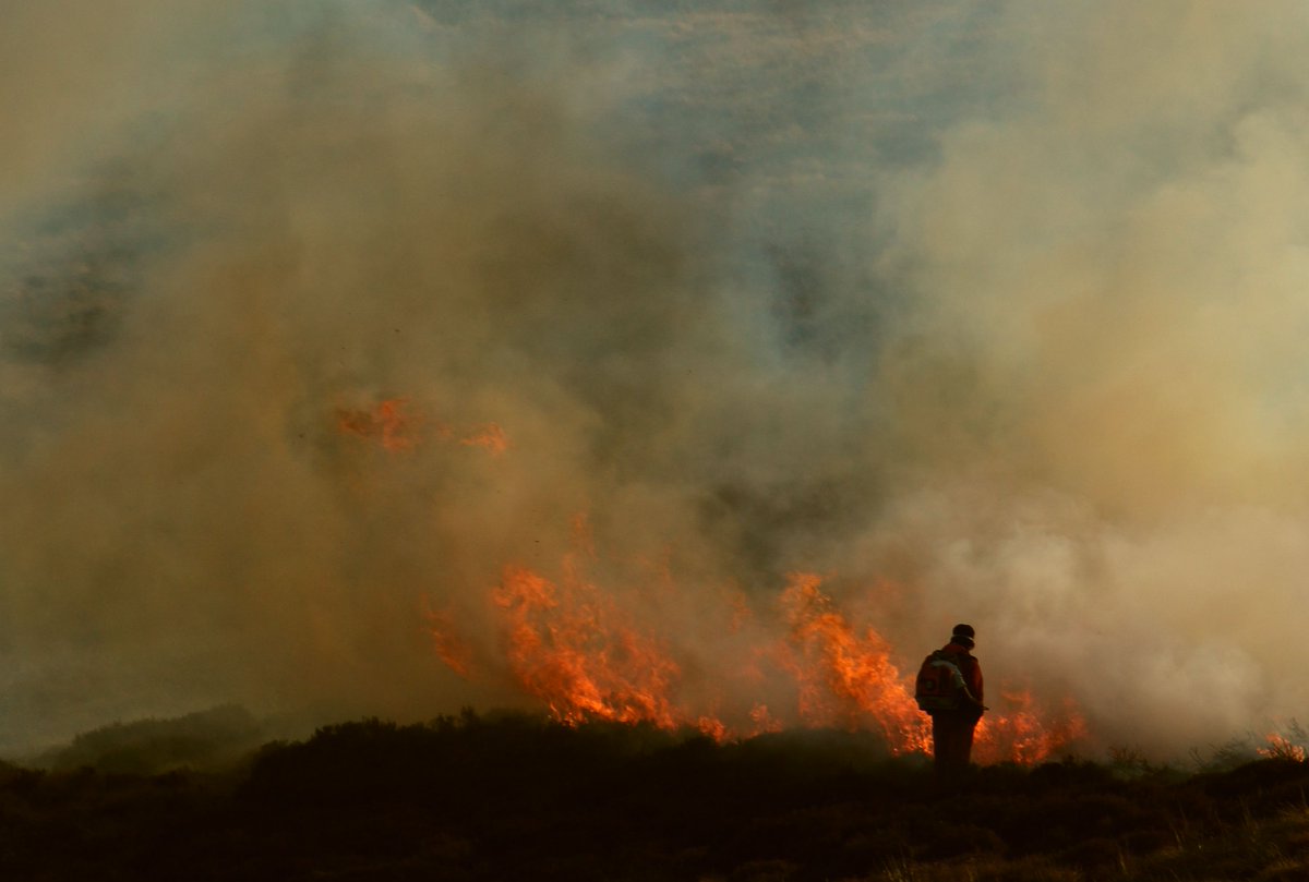 New study reveals burning on deep peat is widespread on many Scottish grouse moors - Muirburn Code is being ignored 🔥 Important info for @GillianMSP @lornaslater @MairiGougeon @fincarson @_KateForbes etc as new Bill heads into Stage 2... Details ⬇️⬇️ raptorpersecutionuk.org/2023/12/18/new…