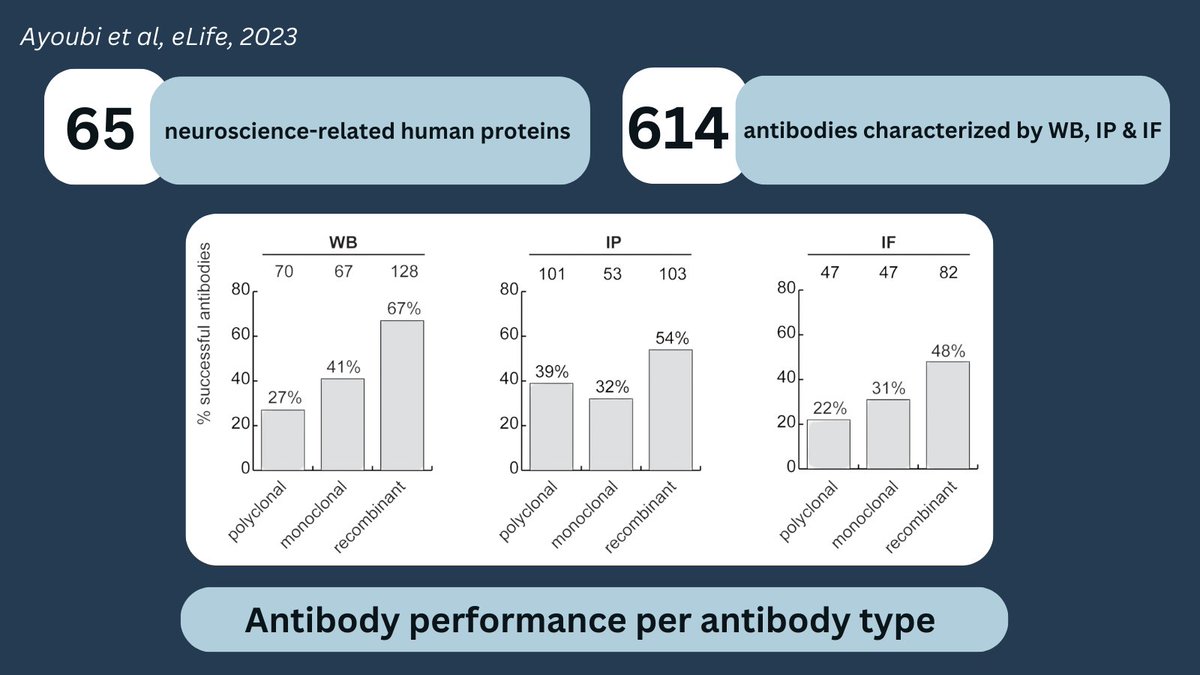 Quantifying the performance of 614 #antibodies for 65 human proteins demonstrates the scale of the antibody liability issue. Good news? we CAN help identify a successful antibody for your protein of interest. ➡️doi.org/10.7554/eLife.… #antibodyvalidation #reproducibility