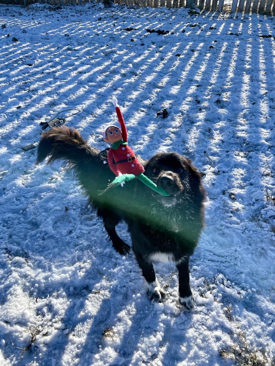 A crisis can strike at any moment! While it may not be in the grips of a furry beast, being prepared for any issues that arise is crucial. Ensure you're equipped to navigate challenges with resilience and precision!