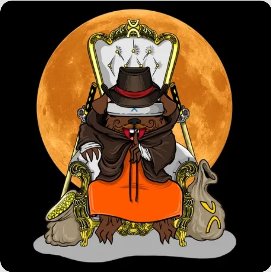 Dibz1996🥷🚀🌕 tweet media