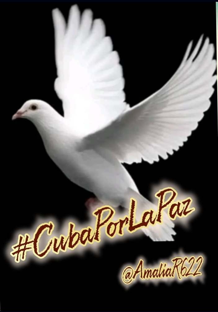 Fidel: 'El crimen más grande que pueda cometerse hoy en Cuba, sería un crimen contra la paz. Lo que no perdonaría hoy nadie en Cuba sería que alguien conspirase contra la paz'. #CubaPorLaPaz