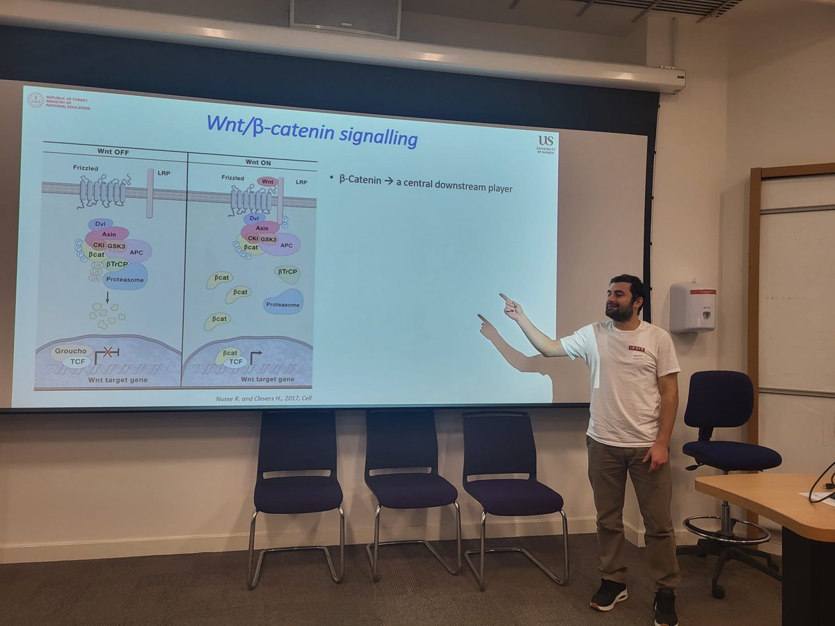 Bravo to our final year PhD student @oknsvm who presented his latest data on LIN28B/Wnt crosstalk in haematopoiesis at the South Coast RNA meeting in Canterbury today. Very much a natural with the finger pointing these days! 👈