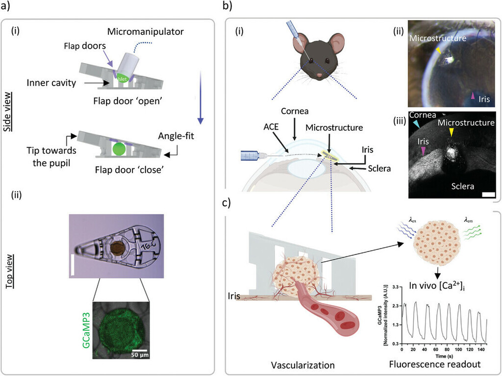 3dheals's tweet image. Scientists at #KTH creates #3dprinted #microdevice in the eye for #diabetes treatment #Nanoscribe

bit.ly/3uvxCxF

#medical3dprinting #medtech #M3DP #printedmedicine #biotech #3dhealslattice