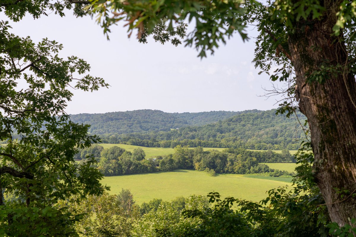 Can't beat these views! 😍 Soaring landscapes and quiet woods - it's time to reserve your piece of High Forest. #NatureLover #PropertyInvestment #Tennesseelandandlakes