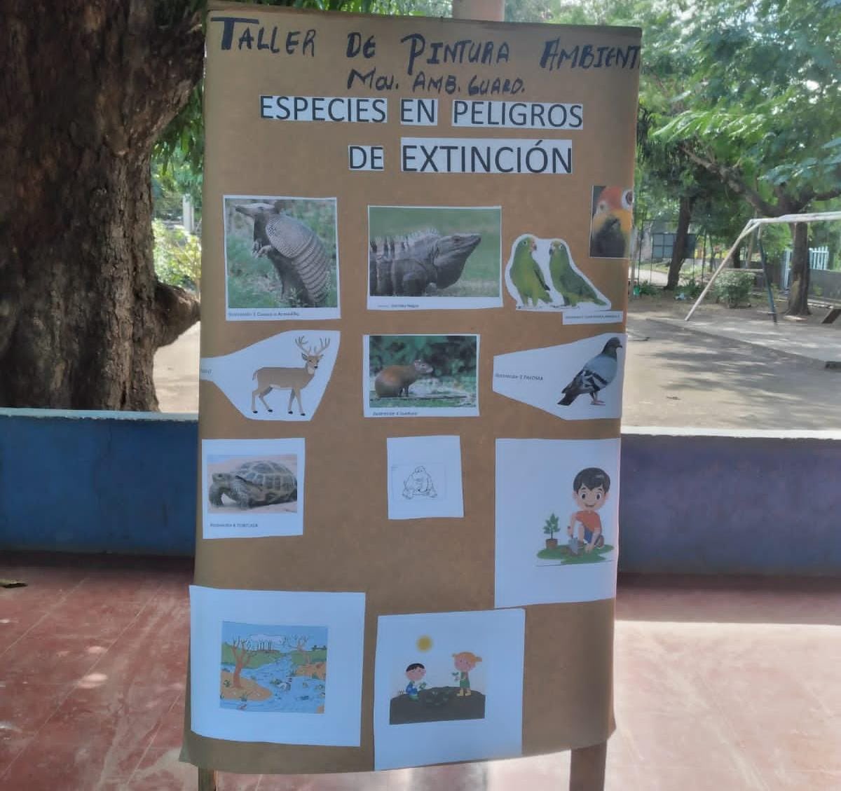 🔰#Rivas realizó Taller sobre especies en peligro de extinción, Ademas de mañana creativa  de pintura con temática ambiental y con el lema “Cuidar el medio ambiente, es cuidar tu hogar”.🎨🖌️🪴 #amorporlanaturaleza♥ #somosguardabarranco💚