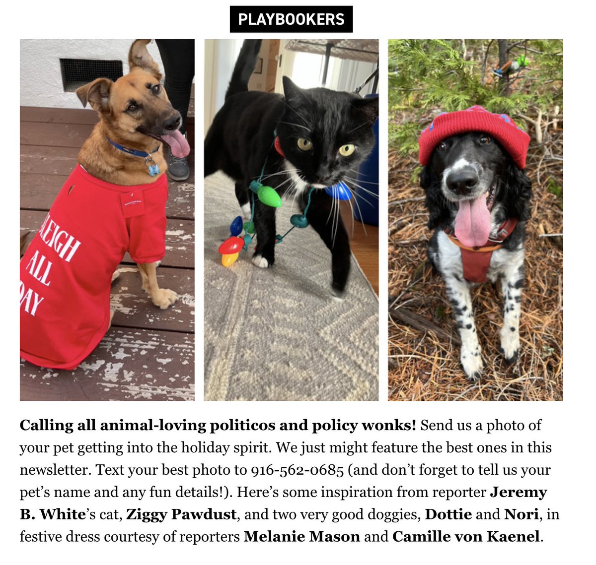 This job has always just been a long-term ploy to get you to send me pet photos. Text us a photo of your furry friend in a festive getup for a chance to be featured in CA Playbook — 916-562-0685. #caleg