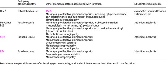 Viruses and collapsing glomerulopathy: a brief critical review academic.oup.com/ckj/article/6/…