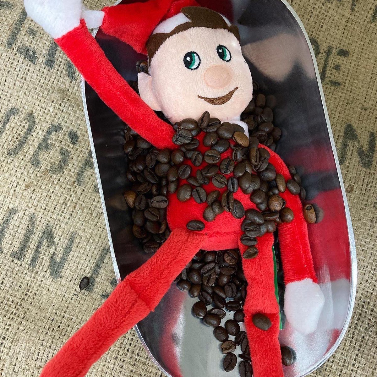 Look what our naughty office elf has previously got up to and where he has ended up this Christmas! 😆 #officedogtoy #rubysplaytoy #doghouse 
#elfontheshelf #elf #naughtyelf #officeelf #officedog  #monday #mondaymood #mondayvibes #mondaymonday #dogstoy #dogsplaytime