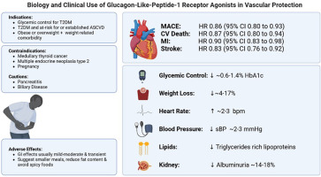 #CJC Review Article: Biology and Clinical Use of Glucagon-Like-Peptide-1 Receptor Agonists in Vascular Protection 👉 onlinecjc.ca/article/S0828-…