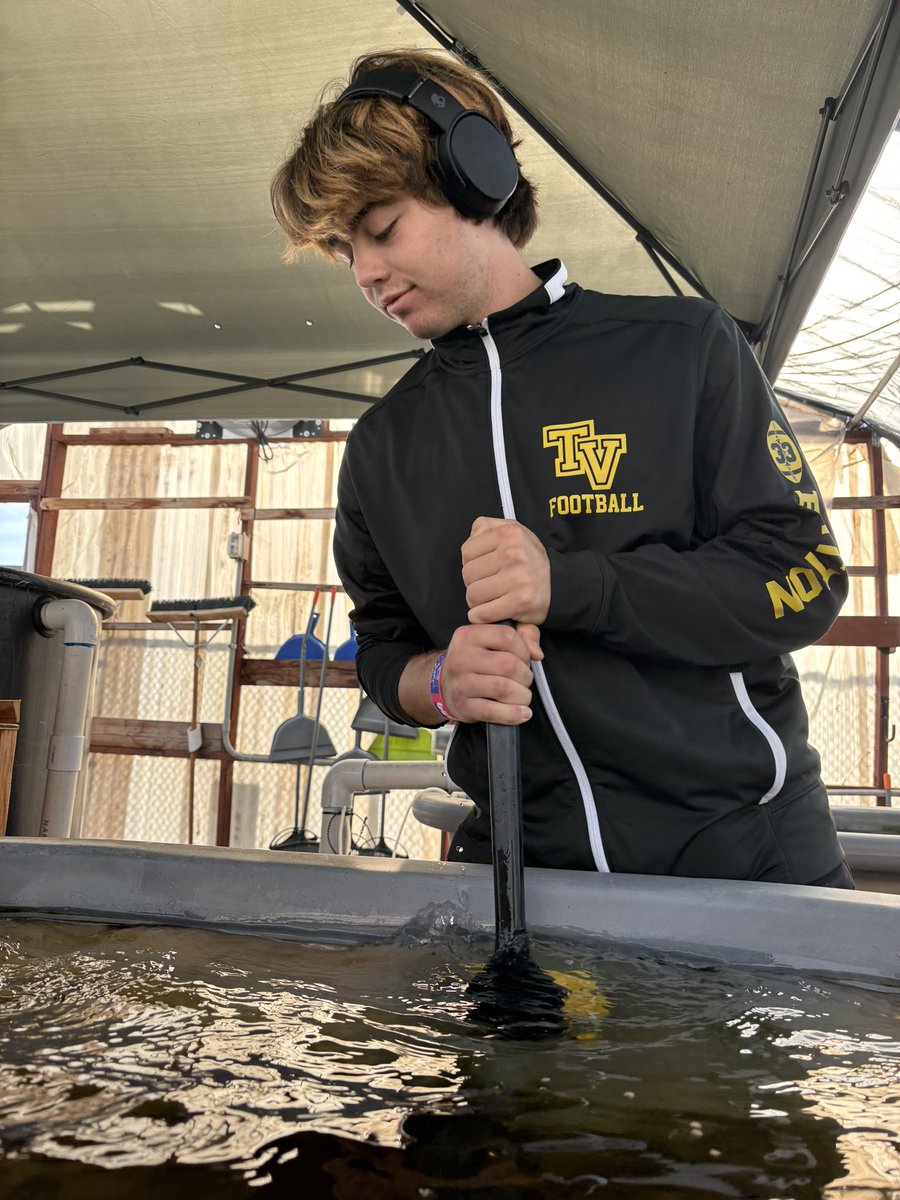 Tvhsbiosustain's tweet photo. Period 2 bio sustainability preparing the greenhouse for the winter break!!! 🌿🌱🌾#WeAreCTA #germination #biosustainability #greenhouse #CTA #CTAIFT https://t.co/0nfqpQWRAz