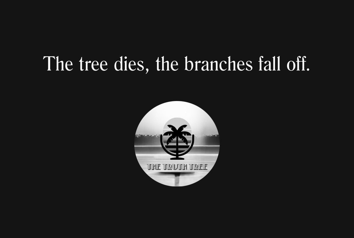 TheTruthTree22's tweet image. Good afternoon T3, and Happy Monday 🌴

#thetruthtree