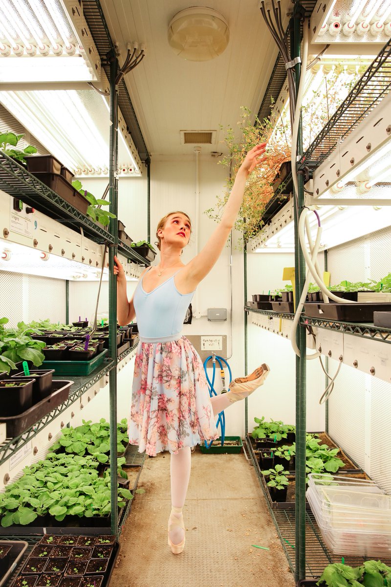 After 4 long years I finally submitted my thesis: the first step toward concluding my PhD in Electric fields in plant-pathogen interactions @imperialcollege Still a few steps before I can call myself Dr. #SciArt #ballet #WomenInSTEM