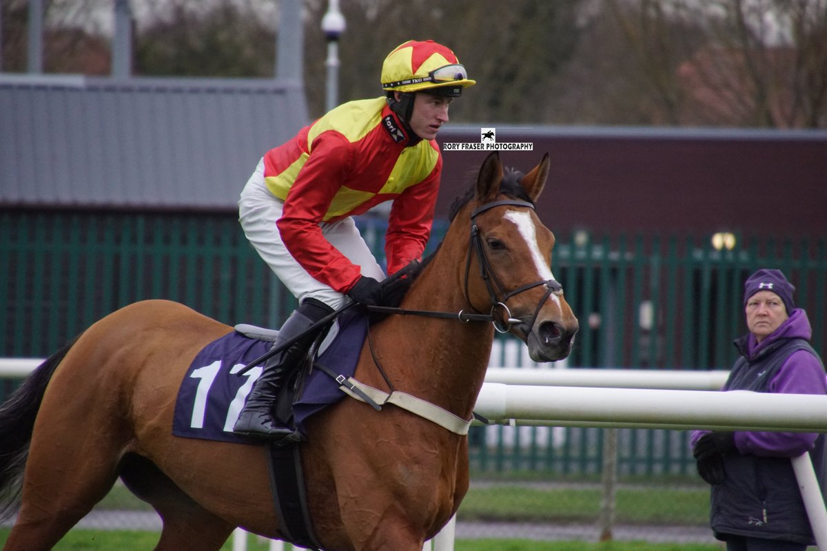 MATTIE ROSS (Champs Elysees x Ommadawn) at Doncaster last weekend, trained by @RTPhillips1, owned by The Zara Syndicate and ridden by @Adamkwedge. A winner in bumpers back in 2021, making her return to action after two years away.