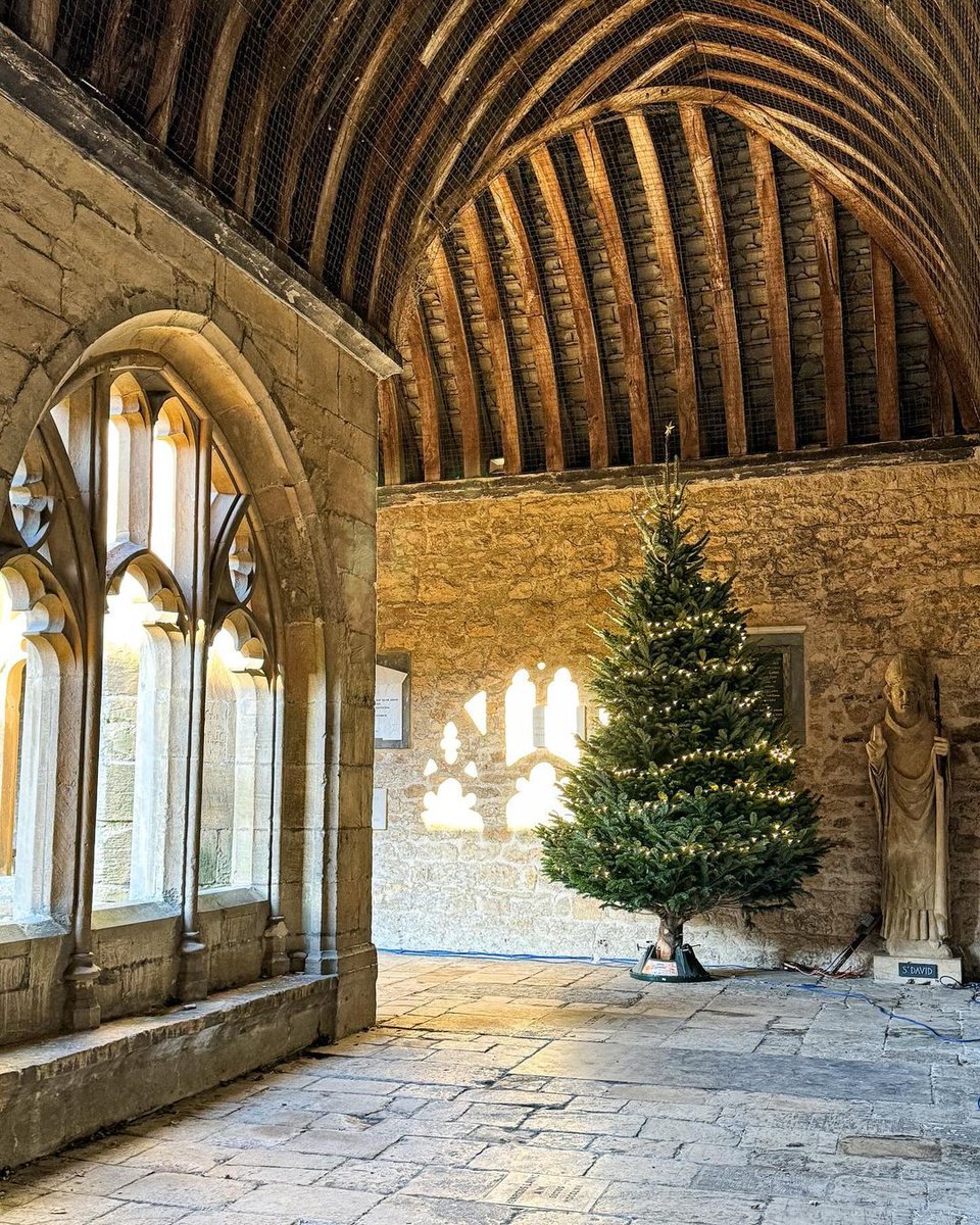 Christmas trees around the University 🎄

📷 | Luis_Louis_Lewis (Instagram), @MertonCollege, @olde_bookes & Judy.Martin46 (Instagram)