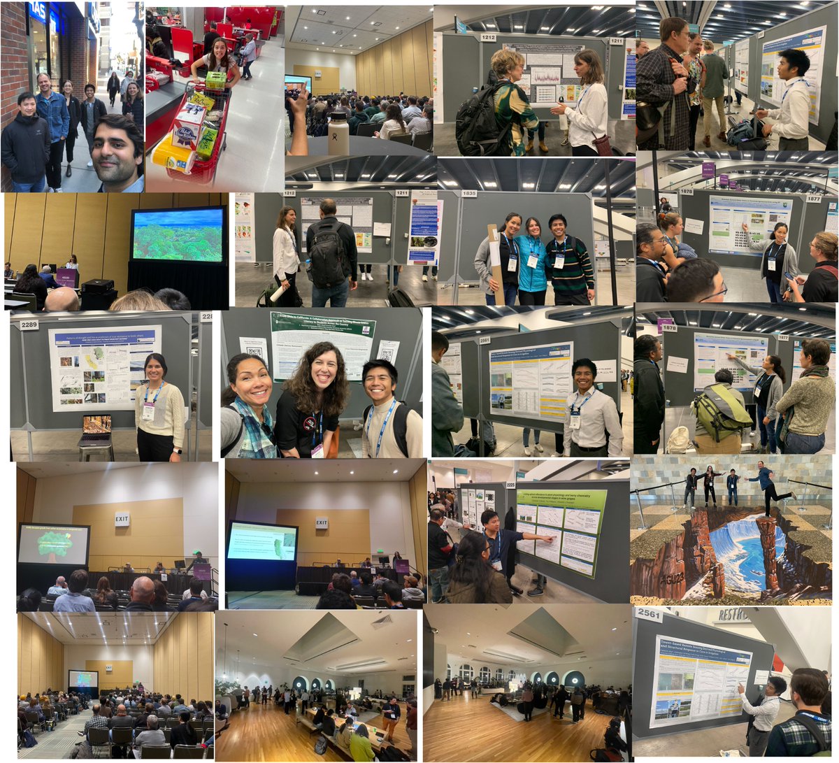 I'm still glowing from seeing all of my science friends last week at #AGU23 and lab members thrive🥹

Especially <a href="/LilyKlinek/">Lily Klinek</a> who won the Forest Ecophysiology oral presentation award sponsored by <a href="/LICOR_ENV/">LI-COR</a>!