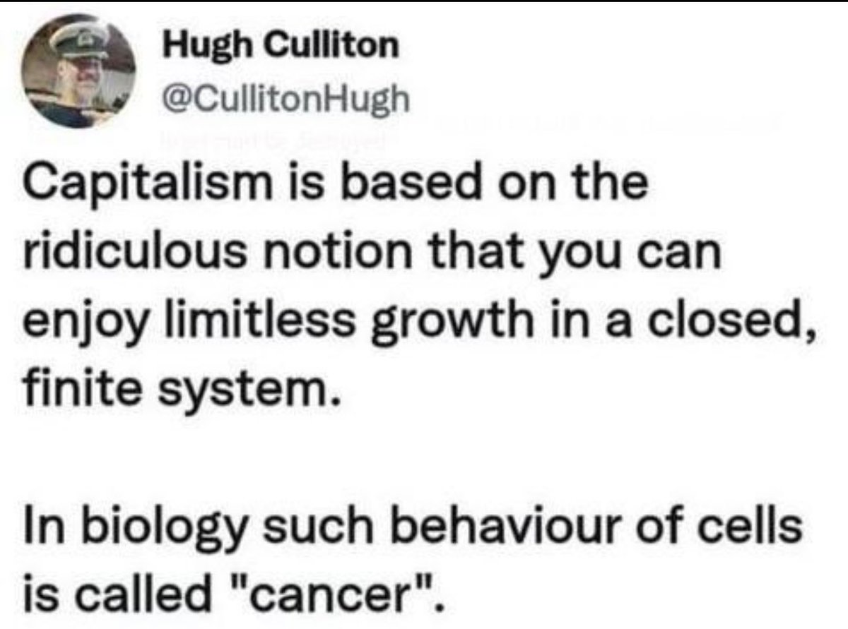 internet hall of fame (@interneth0f) on Twitter photo 