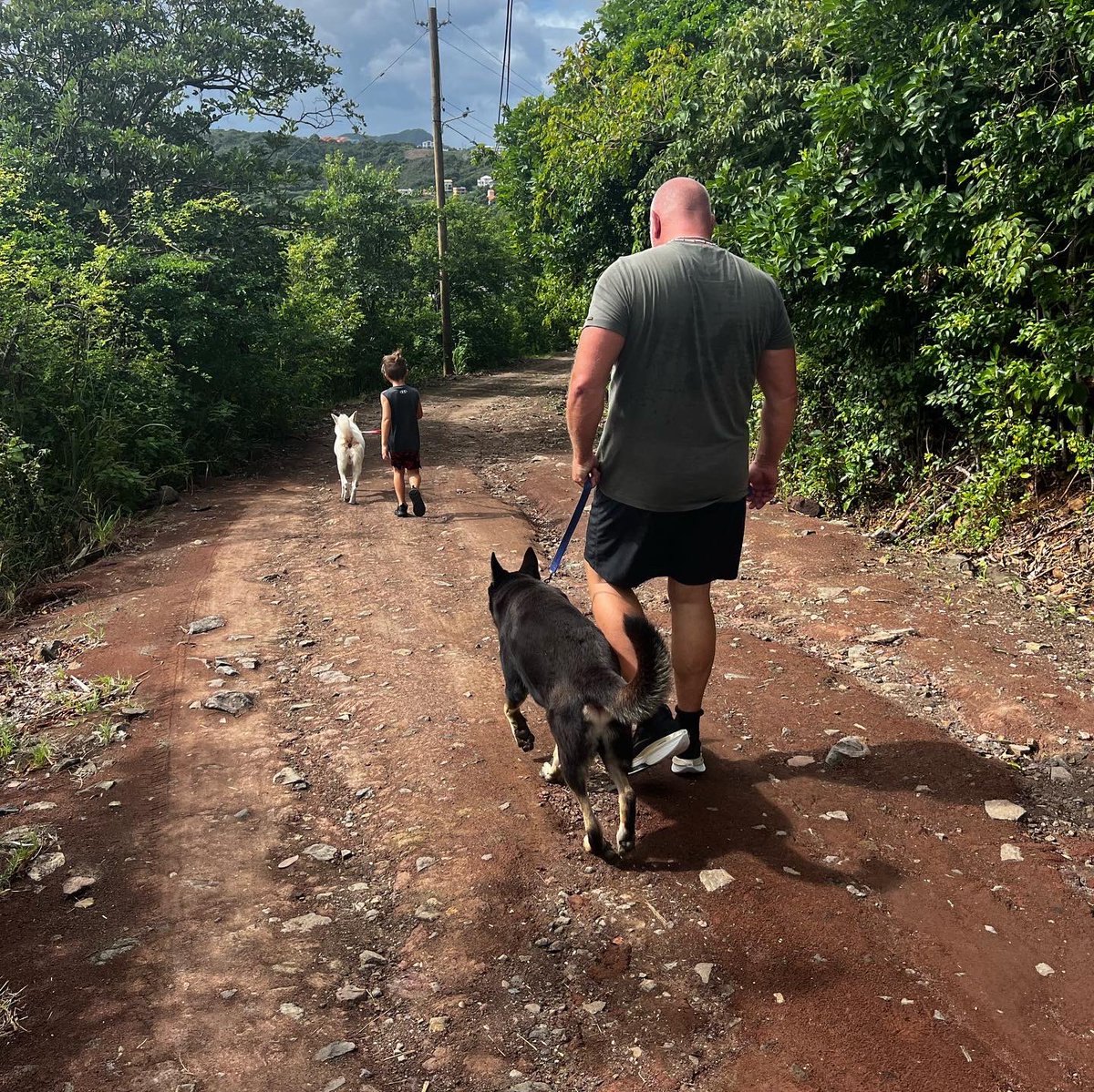 I feel so blessed w two gorgeous #rescuedogs here in #StLucia. Lexi meant for a breeding doggy mill, was rescued from burning house where she was left, locked inside a crate. Thunder Wolf was found, dumped on the side of the road, nearly starved to death. #streetdogs #dogs