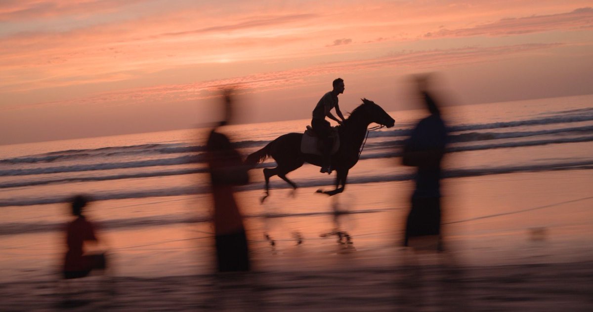 Catapult Film Fund (@catapultfilmfnd) on Twitter photo Today's #GranteeSpotlight is STALLIONS (dir/prod. <a href="/Fesiconnection/">Rita Baghdadi</a> + prod. Sahar Yousefi)
Learn more: buff.ly/41gPN6F
#DocumentaryFilm #NowFundthis Today's #GranteeSpotlight is STALLIONS (dir/prod. <a href="/Fesiconnection/">Rita Baghdadi</a> + prod. Sahar Yousefi)
Learn more: buff.ly/41gPN6F
#DocumentaryFilm #NowFundthis