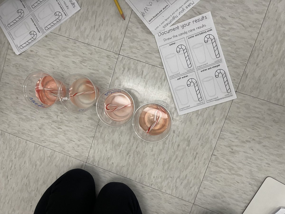 Candy cane experiment! Students tested what happens to candy canes in vinegar, water, salt water, and baking soda 👩‍🔬🧑‍🔬 <a href="/E_ThompsonES/">Elaine Thompson Elementary</a>