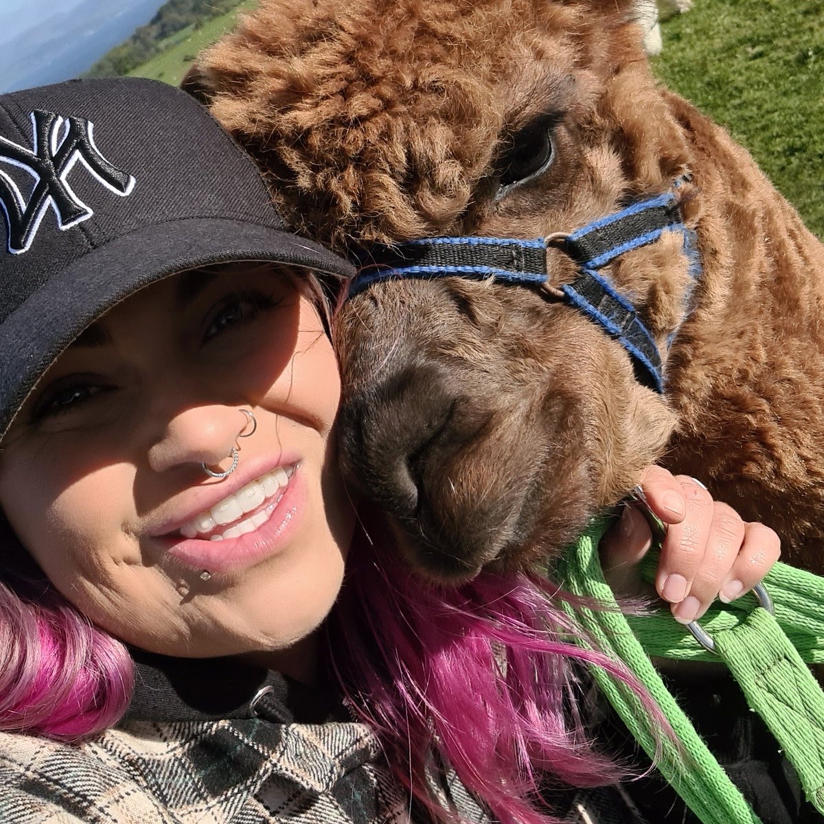 muppettop's tweet photo. #NewProfilePic https://t.co/2pzaZK28LS