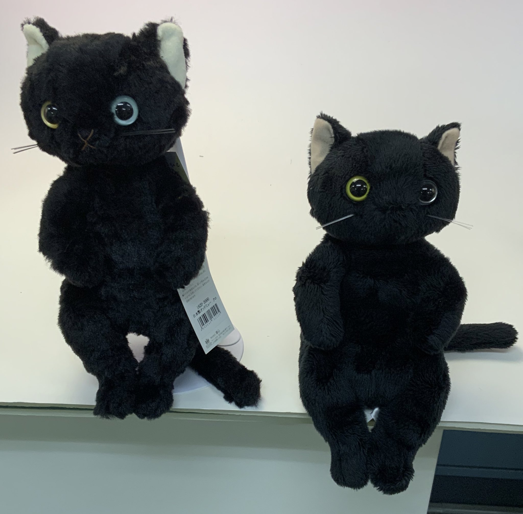 オッドミュー 幸運の黒猫のぬいぐるみ レア